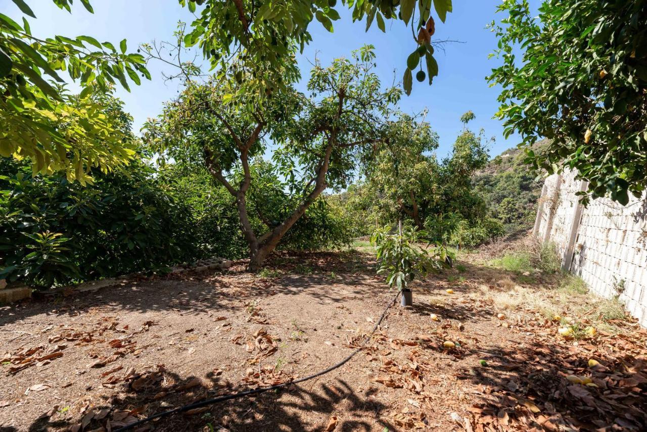 Casa Rural Entre Ojen Y Marbella Экстерьер фото