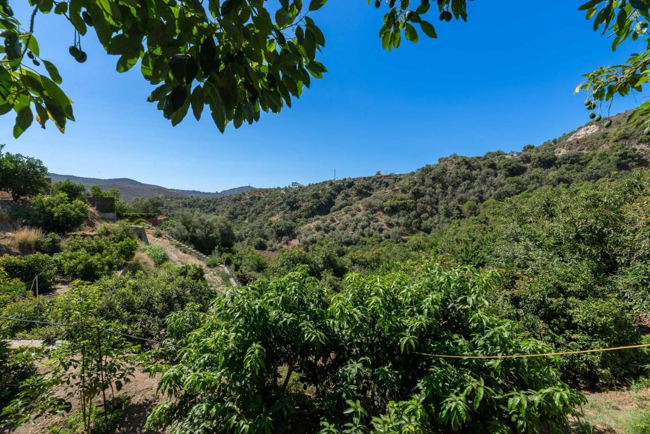 Casa Rural Entre Ojen Y Marbella Экстерьер фото